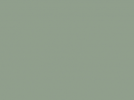ФАСАД СТЕКЛО ГЛЯНЕЦ  АСПАРАГУС RAL 8715
