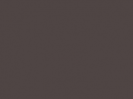 АКРИЛ. FENIX NTM. КОРИЧНЕВЫЙ NTM 0749