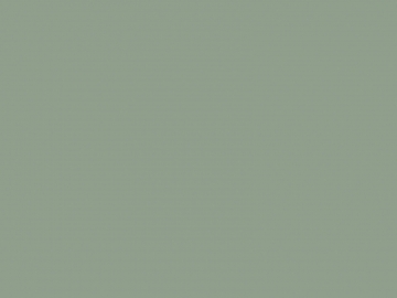 ФАСАД СТЕКЛО ГЛЯНЕЦ  АСПАРАГУС RAL 8715